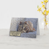 GROSSFLUFFKATZE, ÜBERBLICK/KATZQUOTE KARTE (Gelbe Blume)