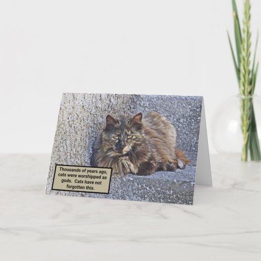GROSSFLUFFKATZE, ÜBERBLICK/KATZQUOTE KARTE (Vorderseite)
