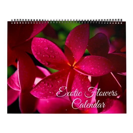 Großformat Exotische Blumen Kalender (Titelbild)