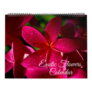Großformat Exotische Blumen Kalender