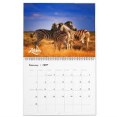 Großformat Exotische Tiere Kalender (Feb 2027)