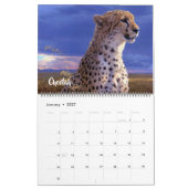 Großformat Exotische Tiere Kalender (Jan 2027)