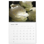 Großformat Forever Roses Kalender (Jan 2027)
