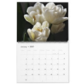 Großformat-Tulpen-Kalender Kalender (Jan 2027)