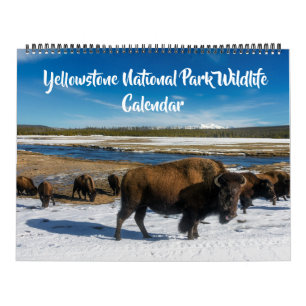 Großformat Yellowstone-Kalender-Wildtierkalender Kalender