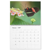 Großformatiger Kalender mit schönen Schmetterlinge (Feb 2027)