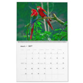 Großformatiger schöner Vögel-Kalender Kalender (Mär 2027)
