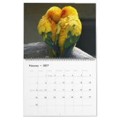 Großformatiger schöner Vögel-Kalender Kalender (Feb 2027)