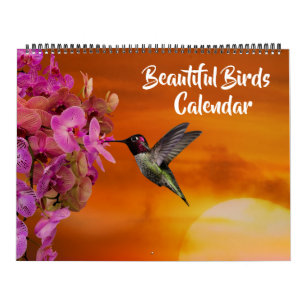 Großformatiger schöner Vögel-Kalender Kalender
