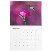 Großformatiger schöner Vögel-Kalender Kalender (Mär 2027)