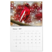 Großformatiger schöner Vögel-Kalender Kalender (Feb 2027)