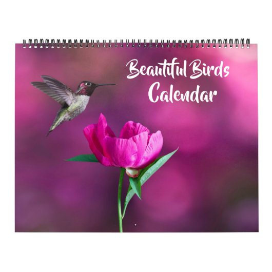 Großformatiger schöner Vögel-Kalender Kalender (Titelbild)