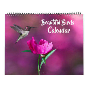 Großformatiger schöner Vögel-Kalender Kalender