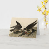 Grossfüßiger Hawk von Audubons Vögeln in Amerika Karte (Gelbe Blume)