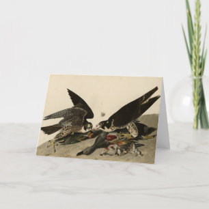 Grossfüßiger Hawk von Audubons Vögeln in Amerika Karte