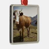 grossglockner hochalpenstrasse, hohe tauern, ornament aus metall (Rechts)