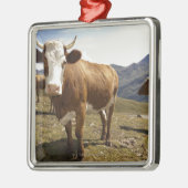 grossglockner hochalpenstrasse, hohe tauern, ornament aus metall (Links)