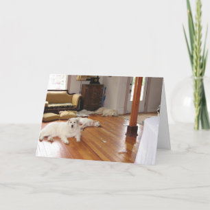 Großhandelszerstörung Karte