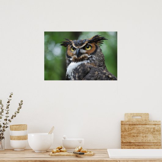 Großhornhuhn Poster (Küche)