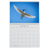 Großkalender 24 kalender (Jan 2027)