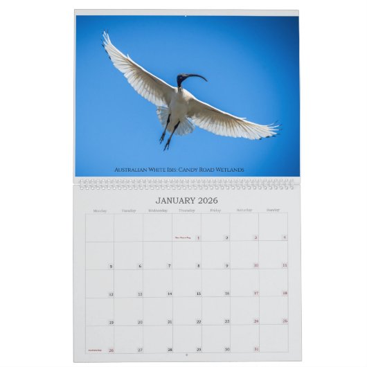 Großkalender 24 kalender (Jan 2026)