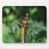 Großkörper Chaser Mousepad (Vorne)