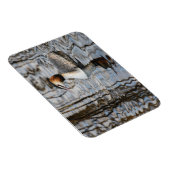 Großkreuzer Grebe Magnet (Rechte Seite)