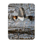 Großkreuzer Grebe Magnet (Vertikal)