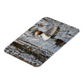 Großkreuzer Grebe Magnet (Linke Seite)