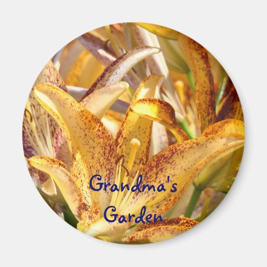 Großmagnete Magnete Orange Lily Blume Magnet (Vorne)