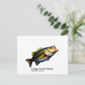 Großmundbarsch-Postkarte Postkarte (Stehend Vorderseite)