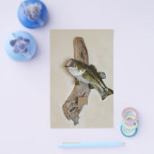 Großmundbass Flyer (Einzeln)