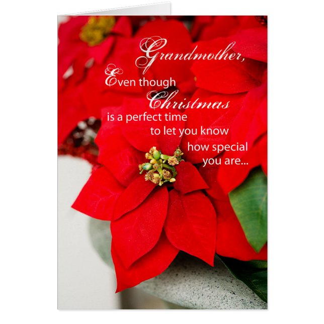 Großmutter Christmas Poinsettia (Vorne)
