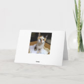 Großmutter Kittens in einer Schachtel Happy Birthd Karte (Rückseite)