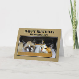 Großmutter Kittens in einer Schachtel Happy Birthd Karte