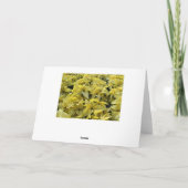 Großmutter Red Poinsettia Frohe Weihnachten (Rückseite)