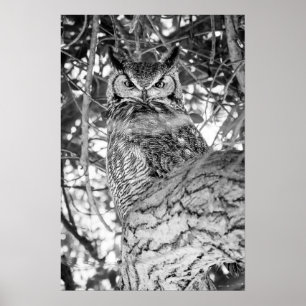 Großohrkauz Schwarz-Weiß-Druck Tierwelt-Wandkuns Poster