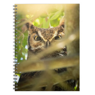 Großohrkauz-Wildlife-Natur-Foto-Kunstprint  Notizblock