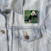 Großpanda im Gras, Wolong Valley, Sichuan Button (Beispiel)