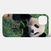 Großpanda im Gras, Wolong Valley, Sichuan Case-Mate iPhone Hülle (Rückseite (Horizontal))