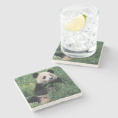 Großpanda im Gras, Wolong Valley, Sichuan Steinuntersetzer (Seitenansicht)
