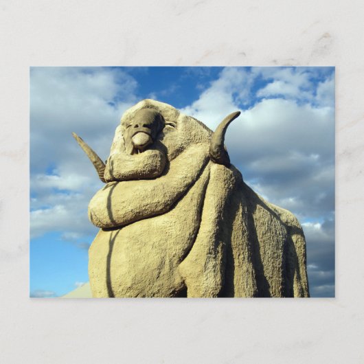 Großschaf Postkarte (Vorderseite)