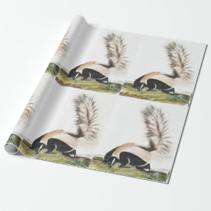 Großschwanz-Stinktier Mephitis macroura Illustrati Geschenkpapier