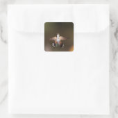 GroßschwanzHummingbird Quadratischer Aufkleber (Tasche)