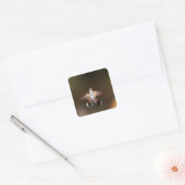 GroßschwanzHummingbird Quadratischer Aufkleber (Umschlag)