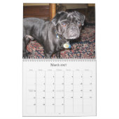 Größtenteils BO Kalender (Mär 2027)