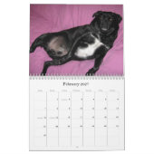 Größtenteils BO Kalender (Feb 2027)