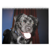 Größtenteils BO Kalender (Titelbild)