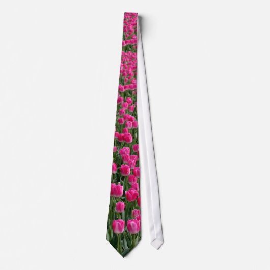 Größtenteils Rosa Krawatte (Vorderseite)