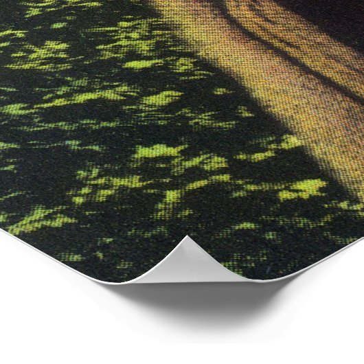 Größter aufgezeichneter Baum in BC 1896 Zedernbaum Poster (Ecke)